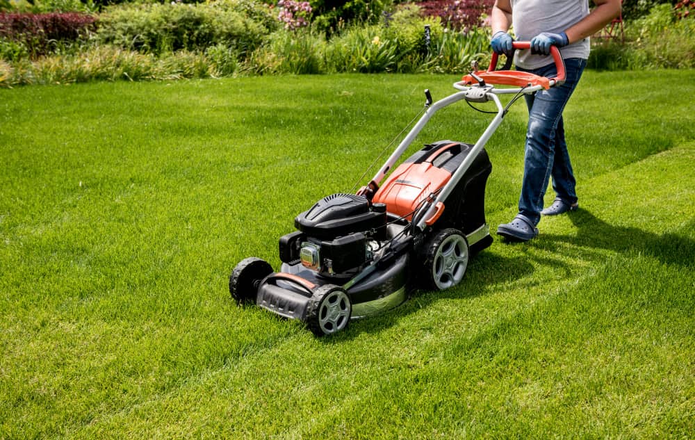 High-quality lawn care equipment