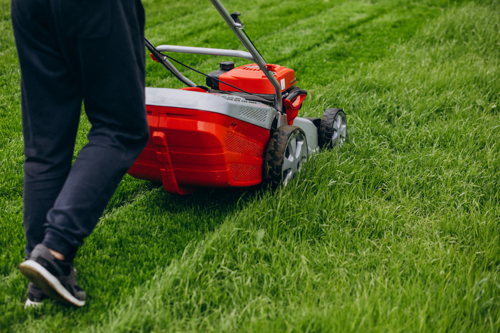 Lawn Care Services