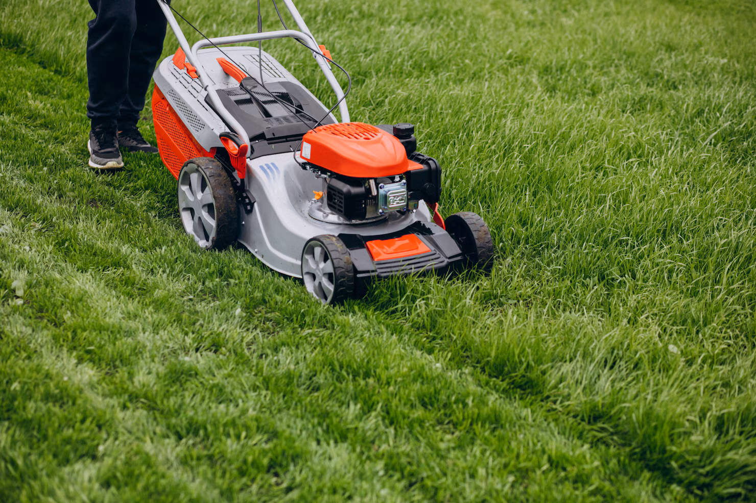 Lawn Care in Punta Gorda
